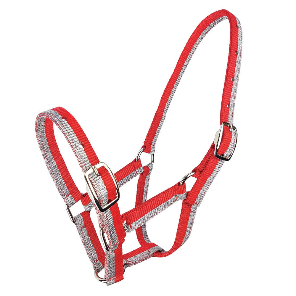 Sparkle Foal Halter