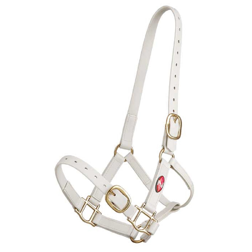 Zilco 25mm Headstall
