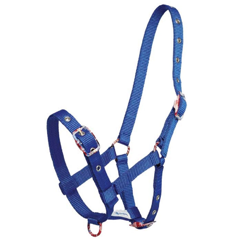 Fancy Buckle Halter | Foal