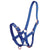 Fancy Buckle Halter | Foal
