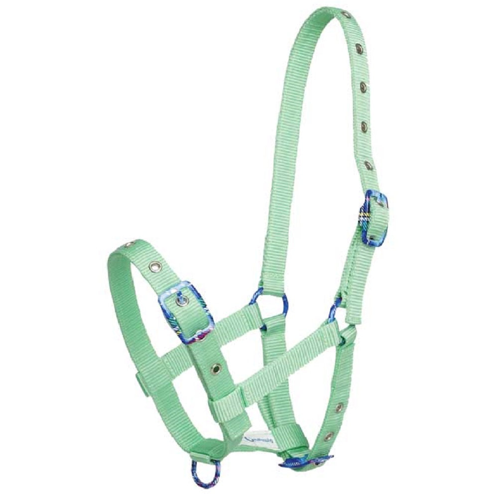 Fancy Buckle Halter | Foal