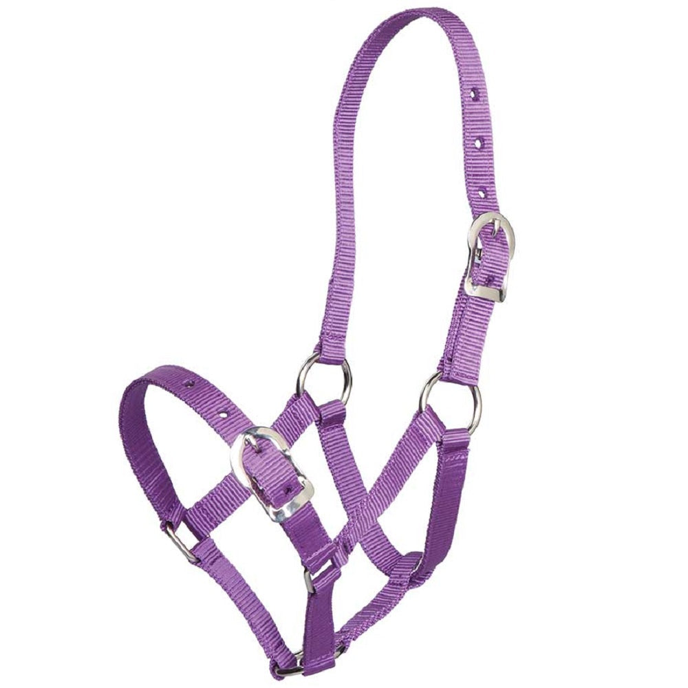 Zilco Halter | Small Pony