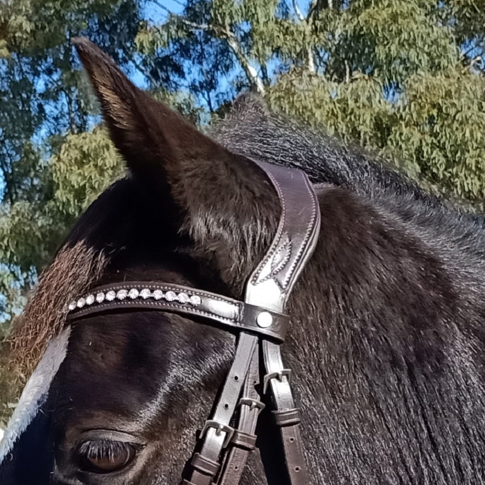 HKM Anatomic Bridle | Crystal Brownband