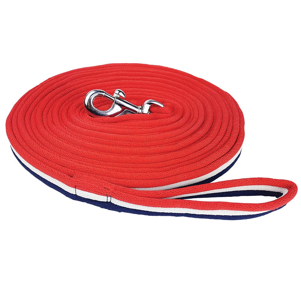 Zilco Brite Lunge Lead