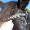 HKM Anatomic Bridle | Crystal Brownband