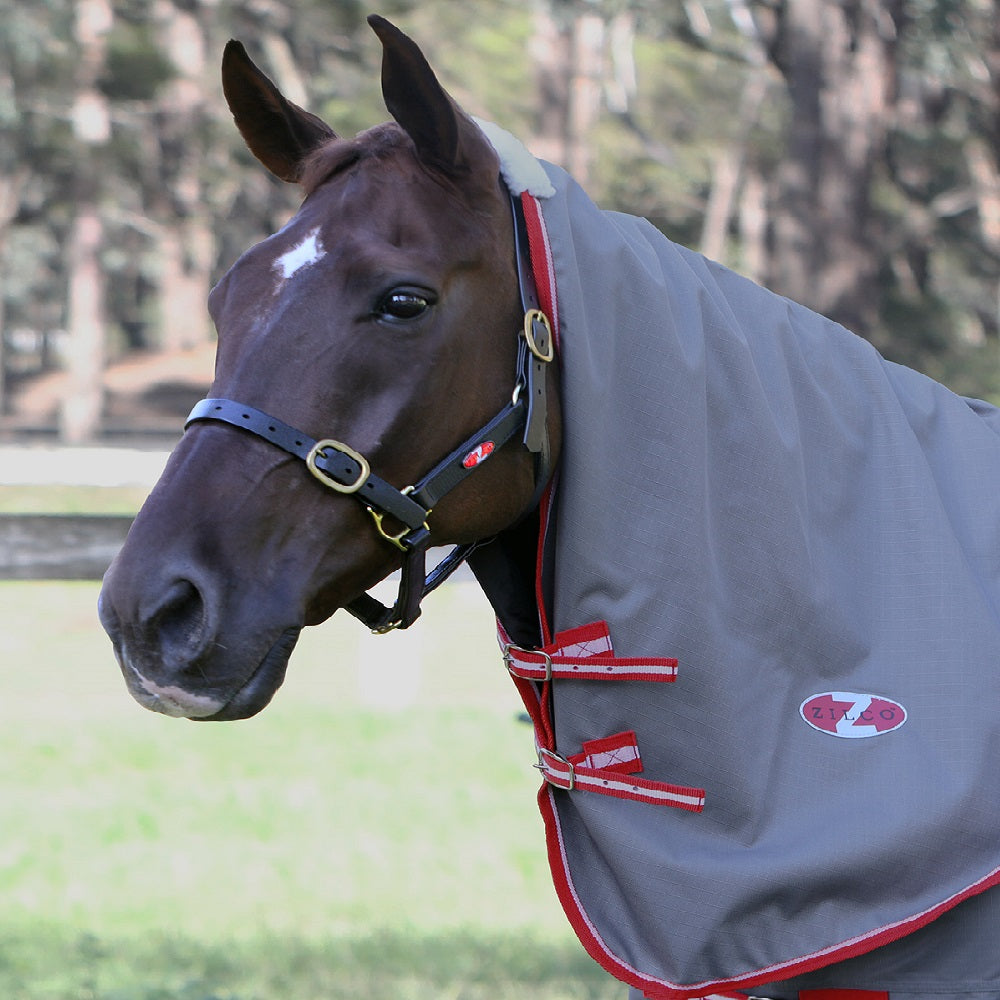 Zilco Garrrison Neck Rug