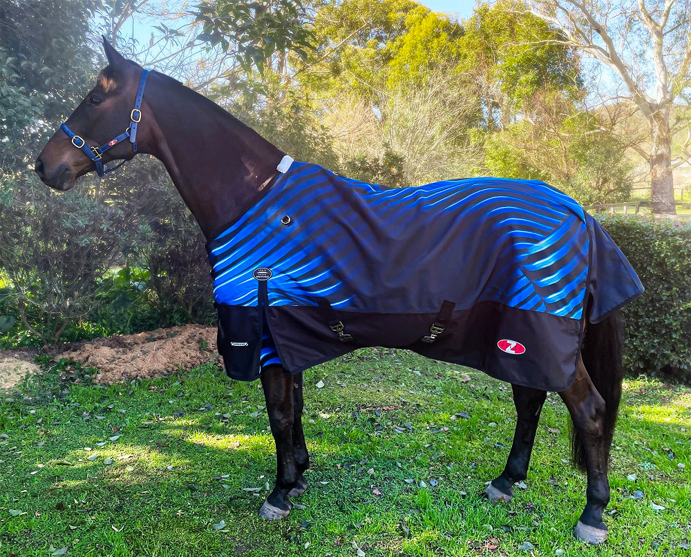 Zilco Crusader 200 Rug Black / Blue