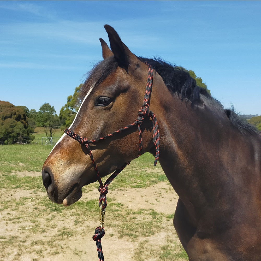 Nungar Knots 8mm Yachting Rope Headstall