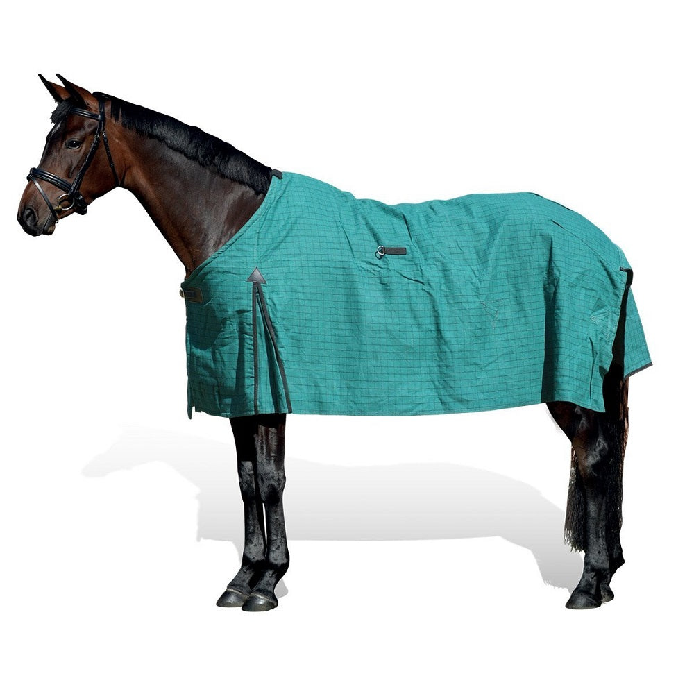 Academy Canvas Rug