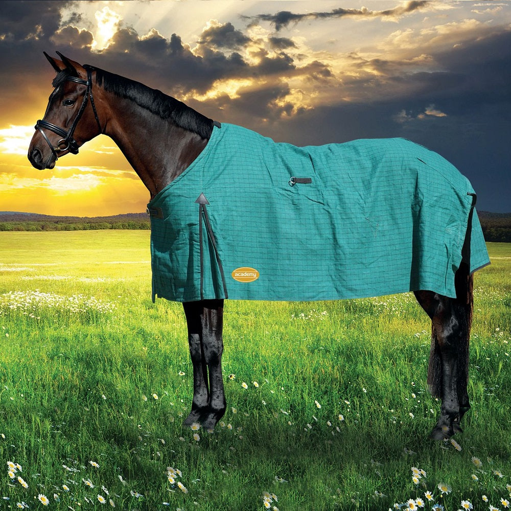 Academy Canvas Rug