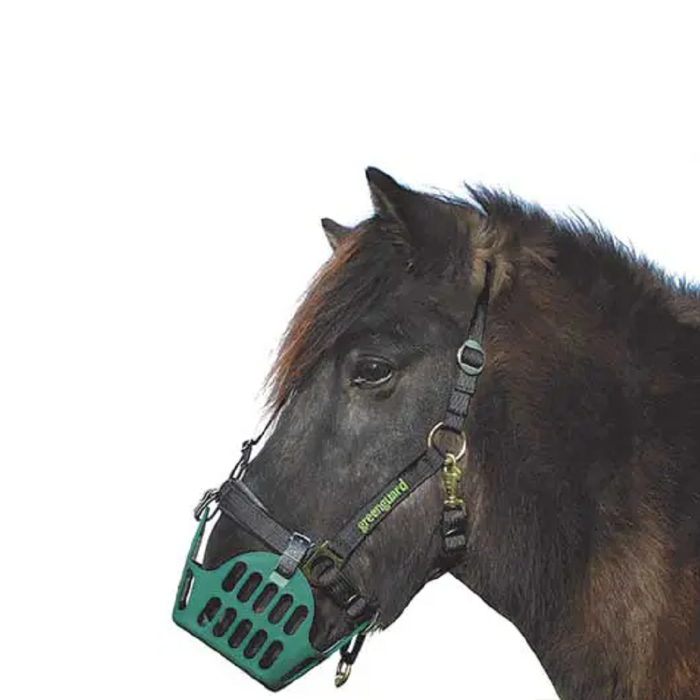 Greenguard Breakaway Halter