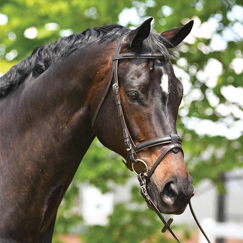 Eurohunter Event Snaffle Bridle