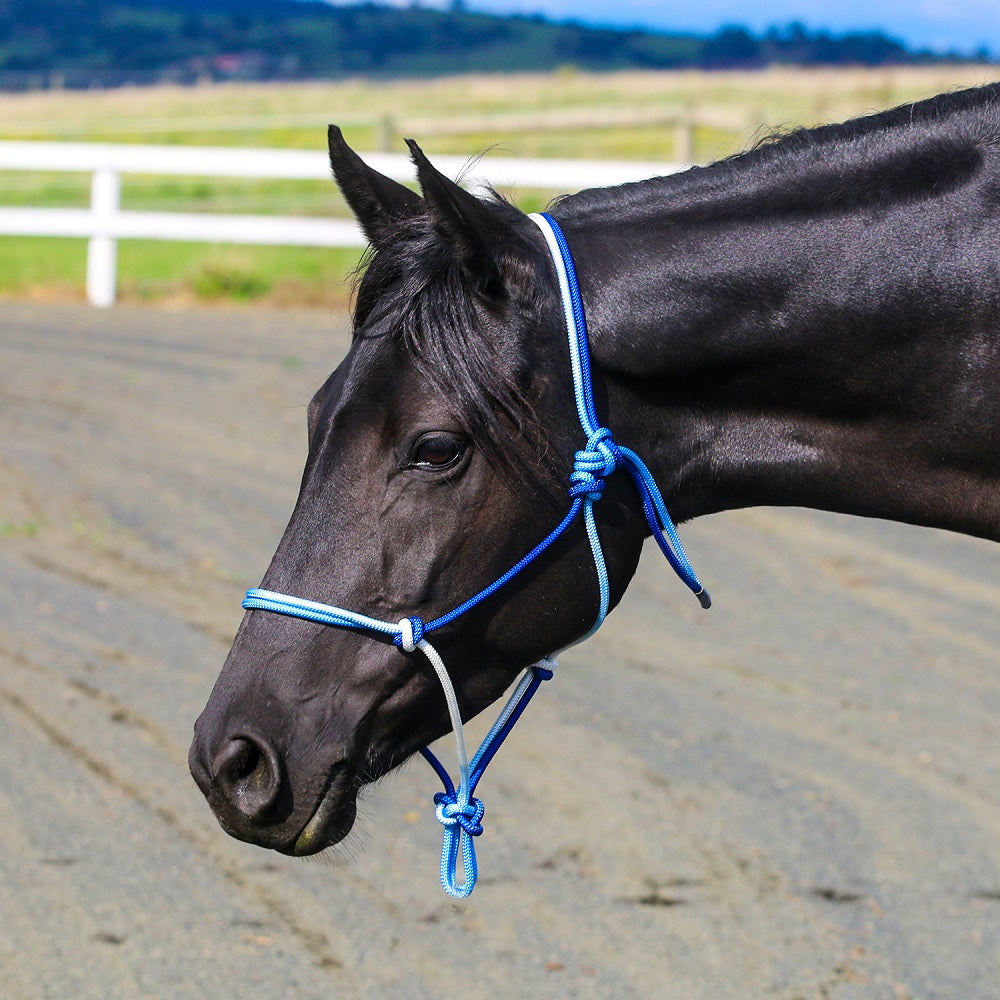 Eurohunter Ombre Rope Halter | Assorted Colours