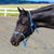 Eurohunter Ombre Rope Halter | Assorted Colours