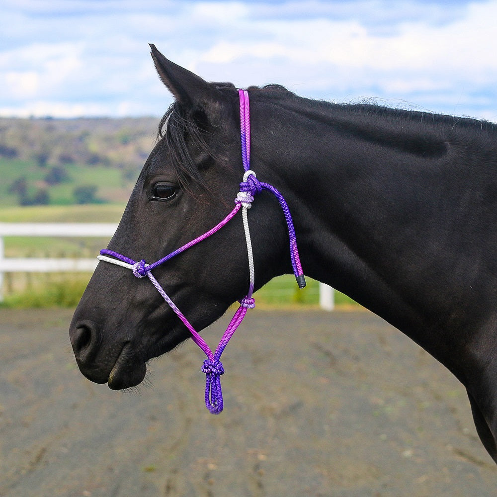 Eurohunter Ombre Rope Halter | Assorted Colours