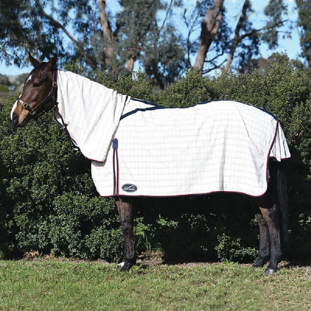 Eurohunter Brisa Combo