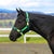 Eurohunter Ombre Halter | Assorted Colours