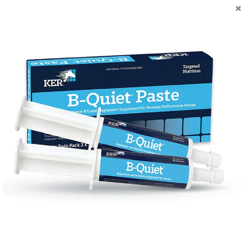 KER B-Quiet Paste | 30g | Twin Pack