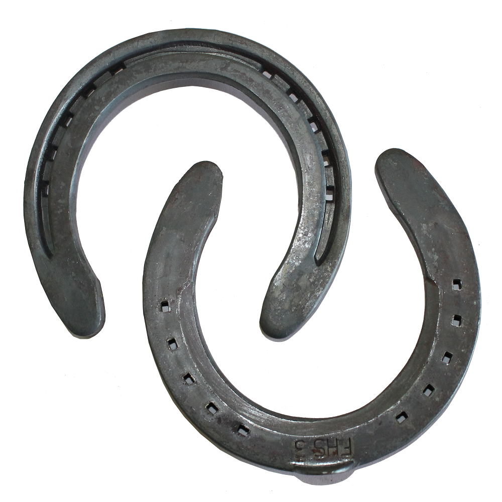 O'Dwyer Horse Shoes | Flat Hack