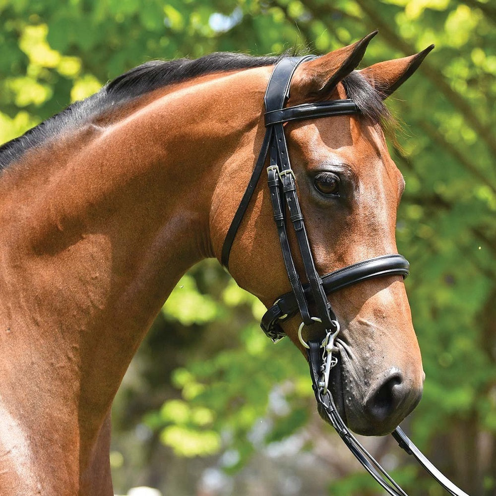 Grainge Elite Dressage Weymouth Bridle