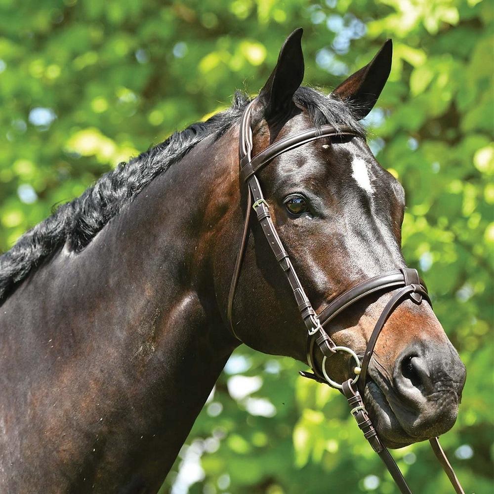 Grainge Elite Event Snaffle Bridle