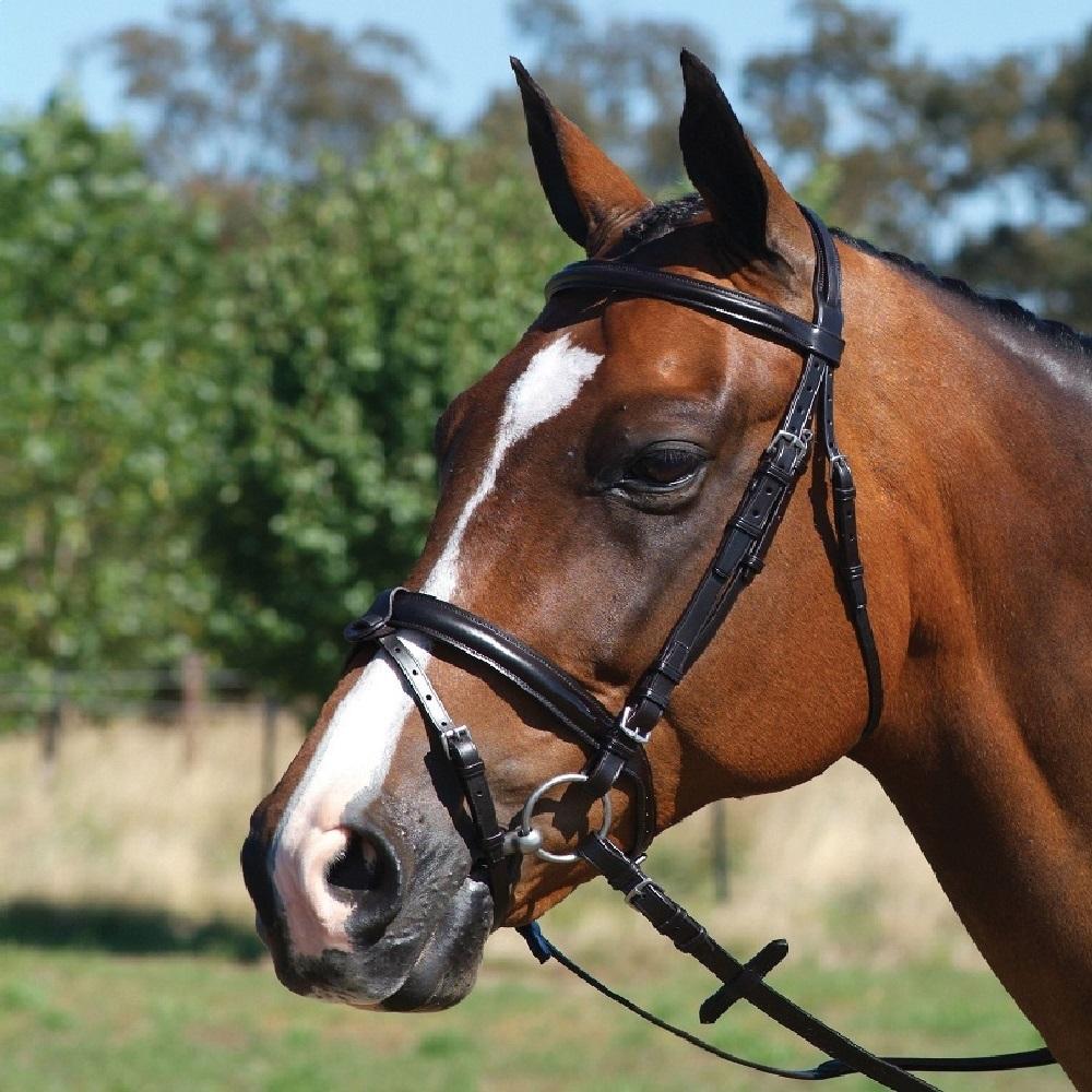 Grainge Elite Event Snaffle Bridle