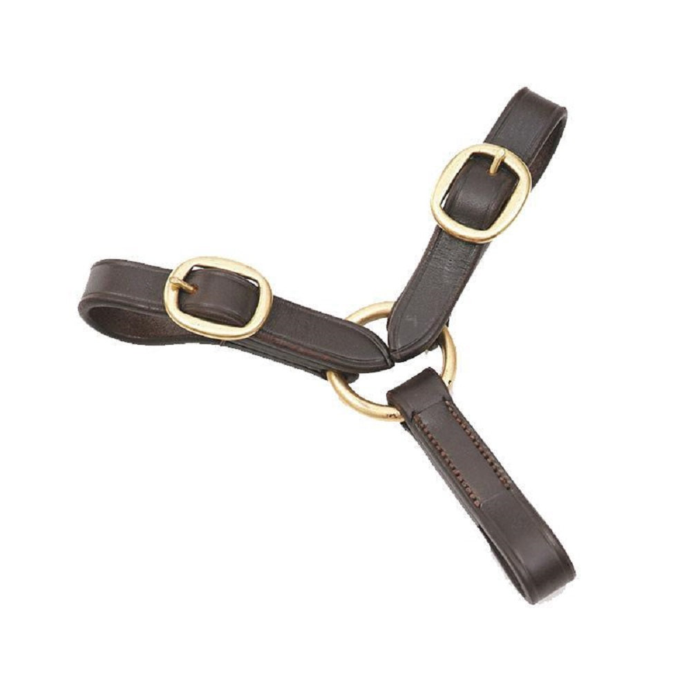 Grainge 2 Buckle Argosy