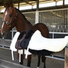 Grainge Merino Half Pad | Cream