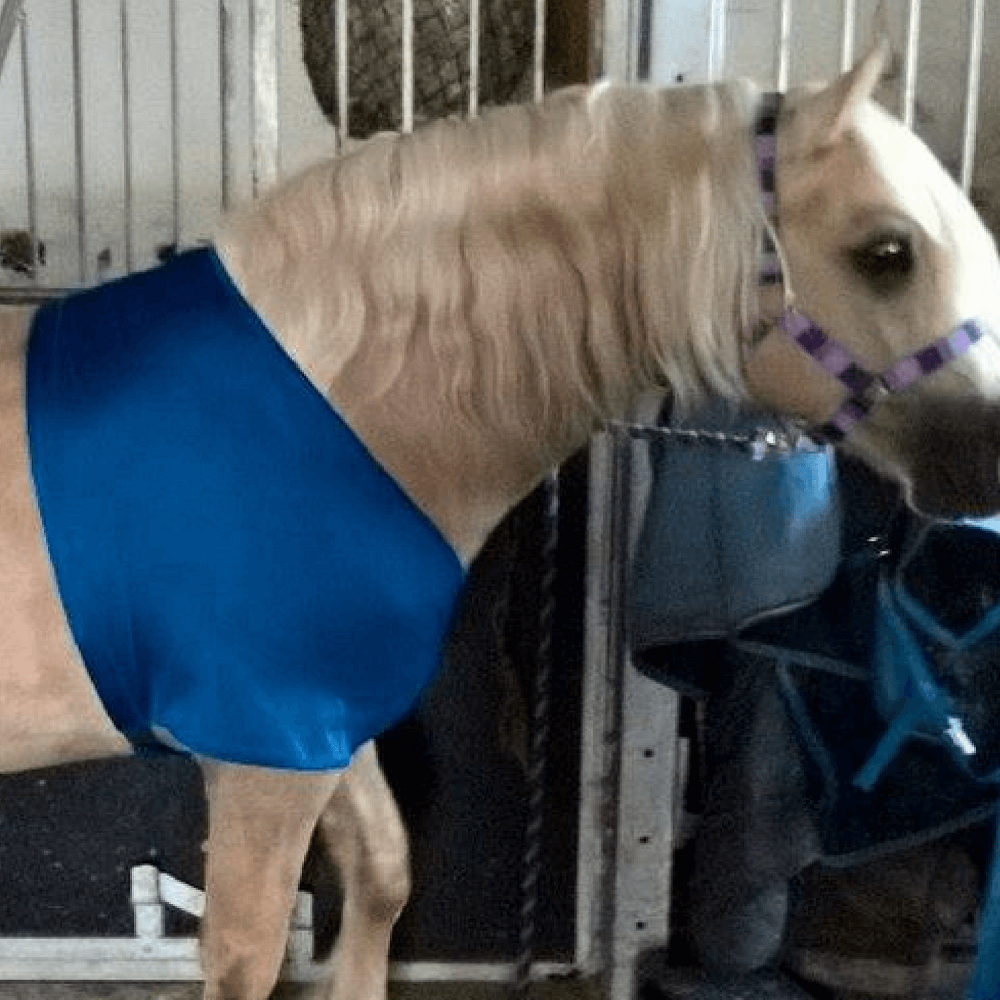 HorzeBibz | Assorted Colours