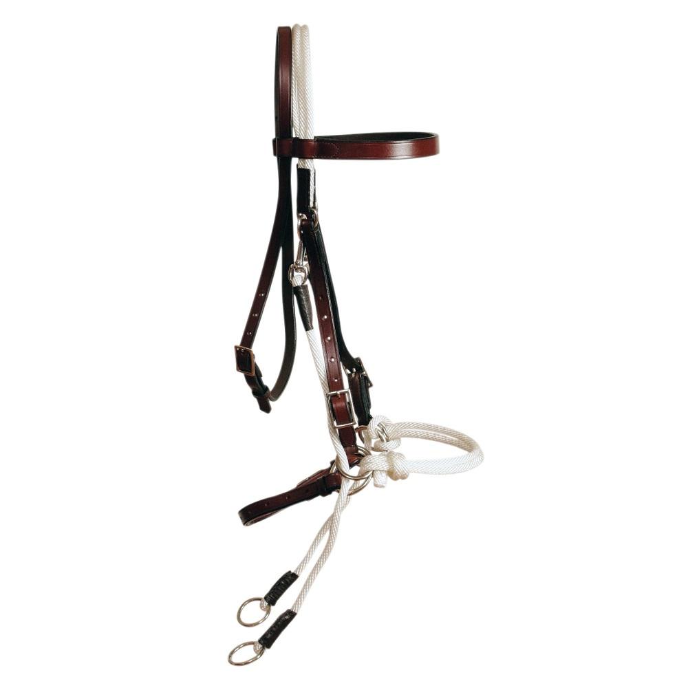 Ammo Bitmore Bridle