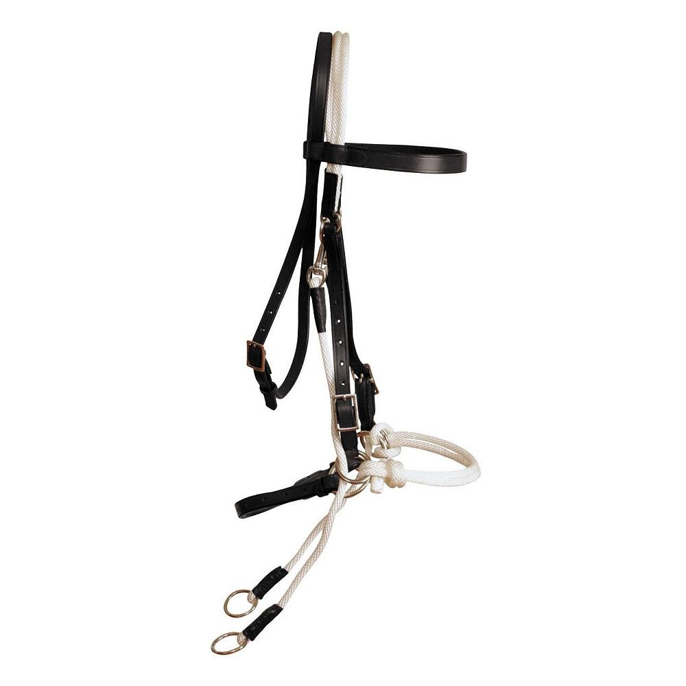 Ammo Bitmore Bridle
