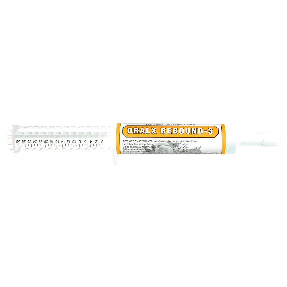 Oralx Rebound 3 | 34g