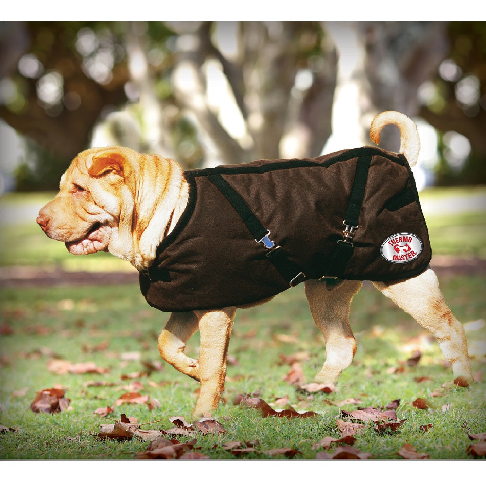 Thermo Master Oilskin Dog Coat
