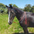 Nungar Knots Flat Split 2m Reins | Loops | Assorted Colours