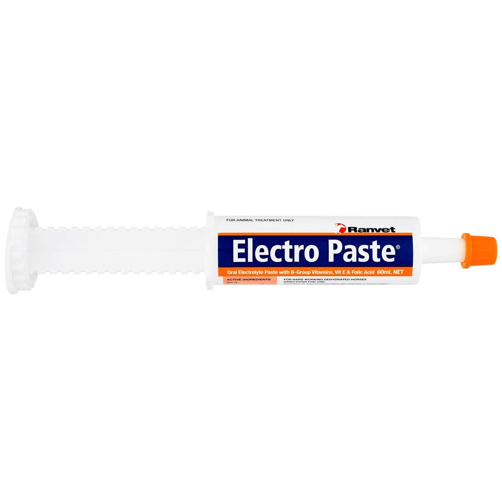 Ranvet Electro Paste | 60g