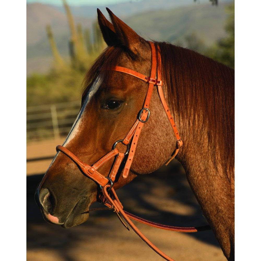 Schutz Side Pull Bitless Headstall