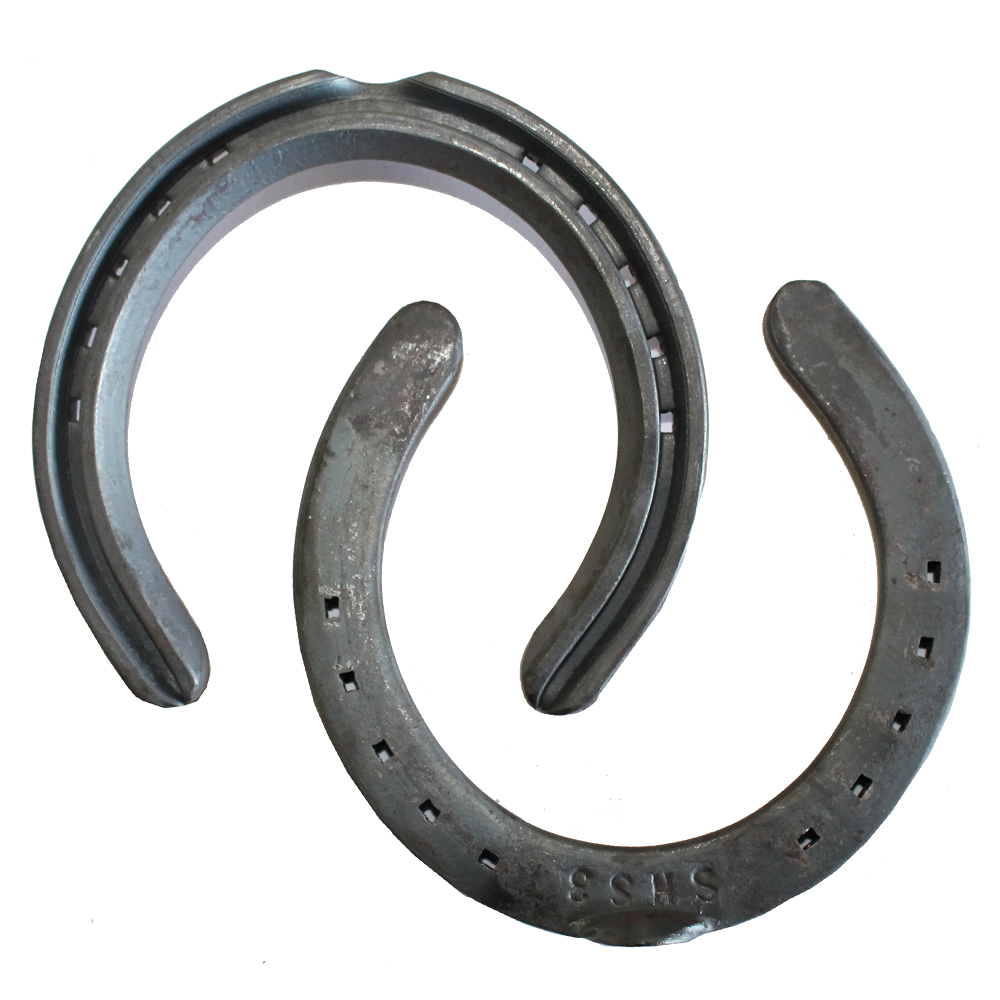 O'Dwyer Horse Shoes | Standard Hack
