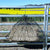 Gutzbusta Net 60ply | Large