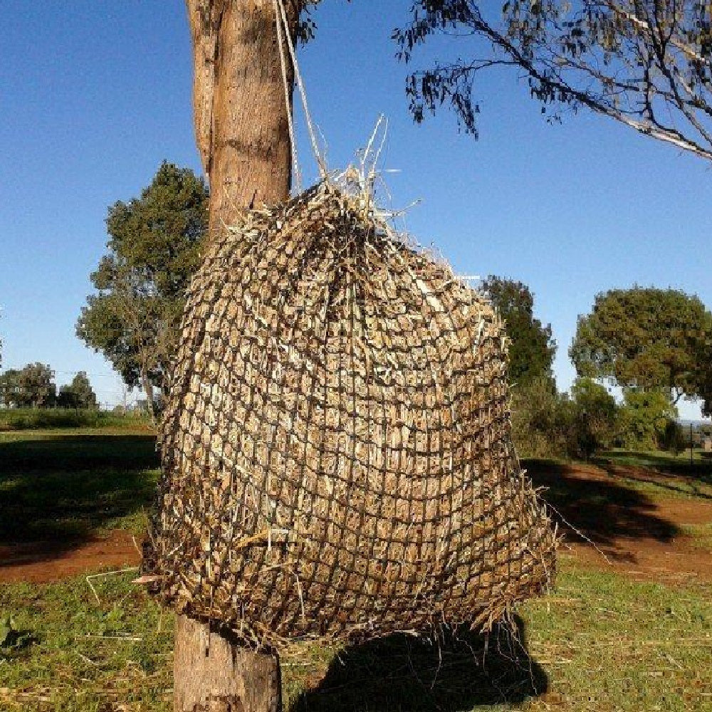 Gutzbusta Net 60ply | Medium