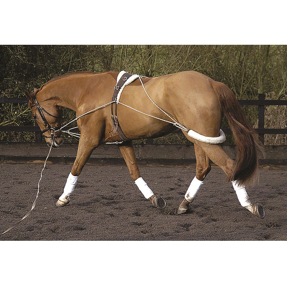 Pessoa Training System