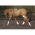 Pessoa Training System