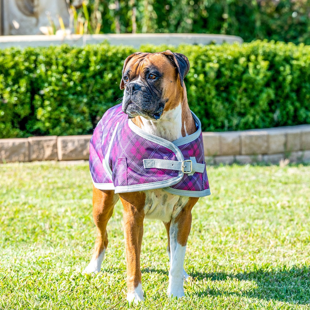 Eurohunter Thredbo Dog Rug